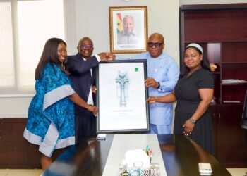 NHIA CEO receives Global Media Alliance delegation after World PR Day festival