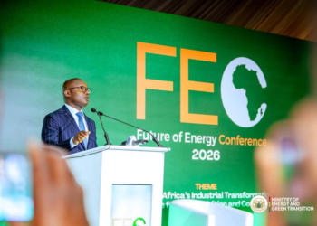 Jinapor calls for reliable and affordable energy to drive Africa’s industrialisation