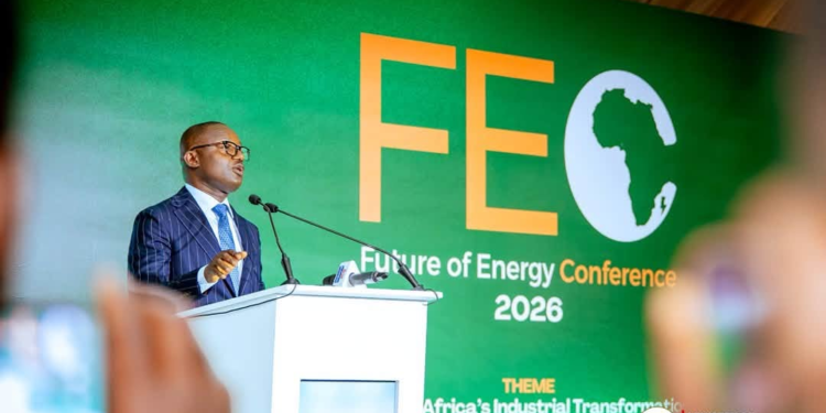 Jinapor calls for reliable and affordable energy to drive Africa’s industrialisation