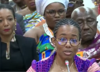 Ghana cannot overlook dangers of Styrofoam use – Zanetor backs ban on ‘takeaway packs’