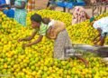 ‘It seems this government fancies burdening the Ghanaian taxpayer with more taxes’ – Gideon Boako