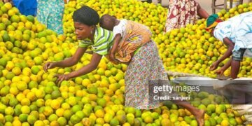 ‘It seems this government fancies burdening the Ghanaian taxpayer with more taxes’ – Gideon Boako