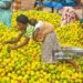 ‘It seems this government fancies burdening the Ghanaian taxpayer with more taxes’ – Gideon Boako