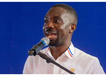 Miracles Aboagye raises safety concerns in Ghana’s democratic space