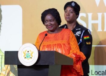 Shea can drive jobs, innovation and wealth in Ghana – Vice President
