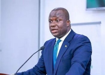 Minority refuses to join Foreign Affairs Committee meeting over South Africa evacuation funds