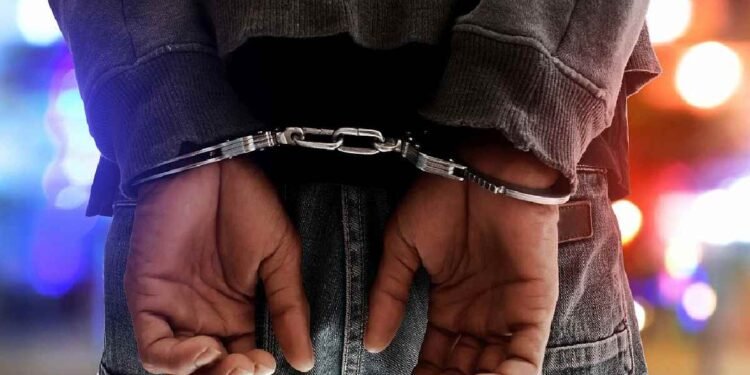 Four Ghanaians caged over alleged €225m cocaine smuggling plot
