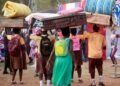 GES releases harmonised prospectus ahead of 2026 SHS placements