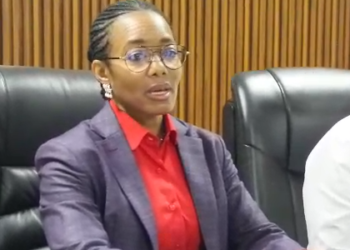 Development must not come at the expense of Ghana’s environment-Dr. Zanetor