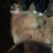 Seven illegal miners killed in Manso Kaneago pit collapse; one still trapped