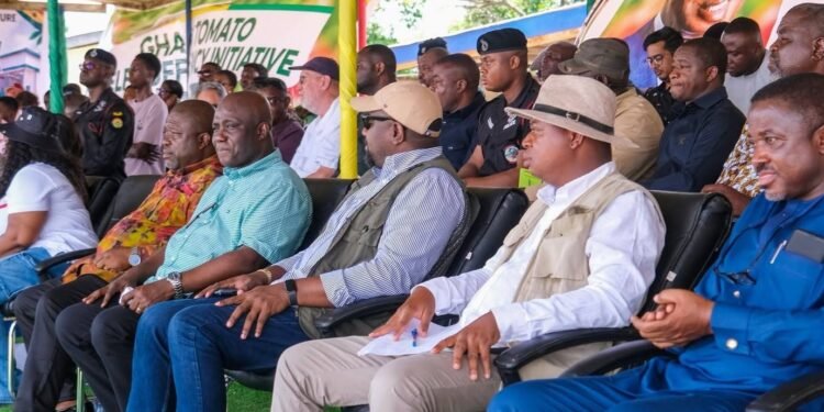 Gov’t launches initiative to boost local tomato production and cut imports