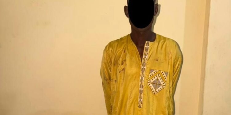 E/R highway robberies: Police arrest suspect linked to five attacks, hunt gang leader
