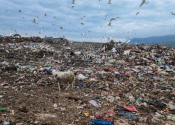 Gov’t plans major evacuation of Jamestown Waste to Adipa Engineered Landfill at Nsawam