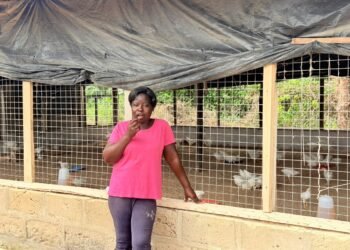 Farmer praises gov’t’s Nkoko Nkitinki initiative for creating jobs for youth