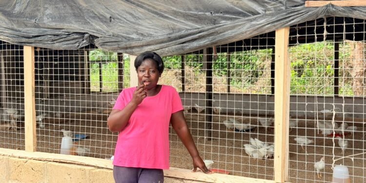 Farmer praises gov’t’s Nkoko Nkitinki initiative for creating jobs for youth