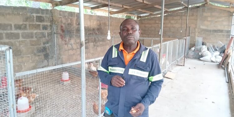 Nkoko Nkitinki gives welder new livelihood as poultry farmer