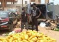 Dawhenya: Two arrested as police seize 692 parcels of suspected Indian hemp