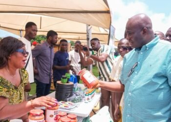 Ghana targets 400,000 tonnes of tomatoes, 600,000 jobs under new self-sufficiency drive