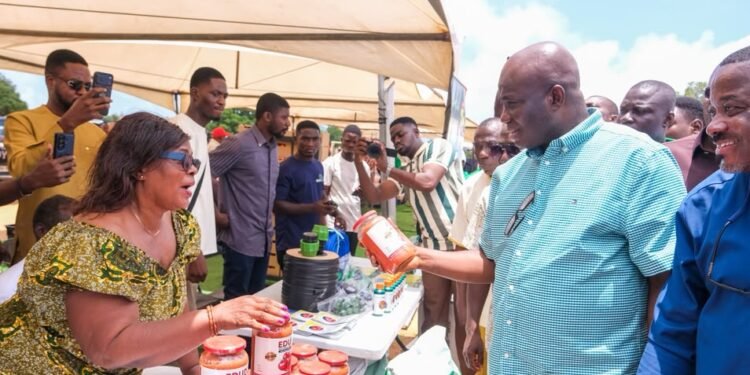 Ghana targets 400,000 tonnes of tomatoes, 600,000 jobs under new self-sufficiency drive