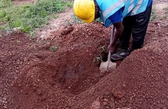 Triple fibre cuts disrupt telecom services across Northern, Oti regions – Sam George