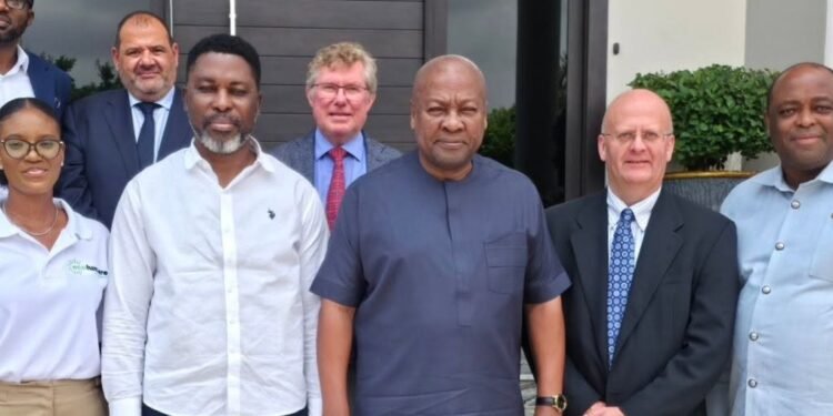 Gomoa Central MP leads delegation to President over 270 MW solar project