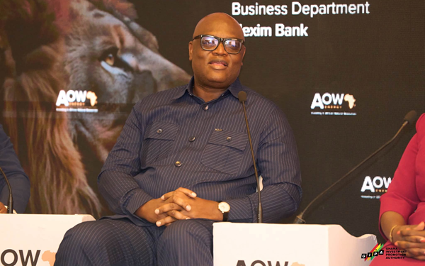 GIPA CEO calls for greater use of domestic, diaspora capital to finance Africa’s energy sector