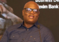 GIPA CEO calls for greater use of domestic, diaspora capital to finance Africa’s energy sector
