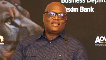 GIPA CEO calls for greater use of domestic, diaspora capital to finance Africa’s energy sector