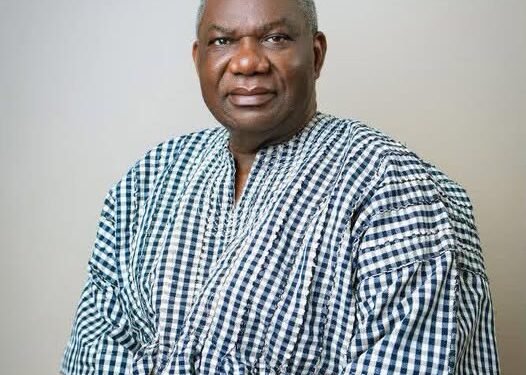 Ras Mubarak predicts winners in NPP national executive elections