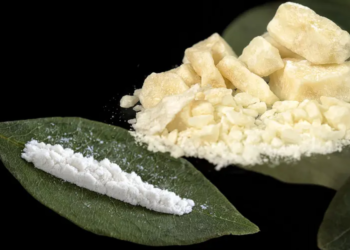 Ghana’s name is on the line’ — CDM calls for bi-partisan probe into cocaine saga
