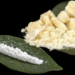 Ghana’s name is on the line’ — CDM calls for bi-partisan probe into cocaine saga