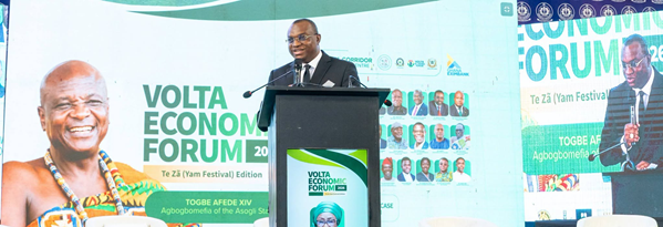 Presidency ready to clear investment bottlenecks in Volta Region – Brogya Genfi