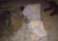 Winneba: Five-year-old girl drowns after falling into uncovered borehole