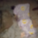 Winneba: Five-year-old girl drowns after falling into uncovered borehole