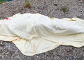 Ghanaian man found dead in Berlin; Foreign Affairs Ministry appeals for relatives
