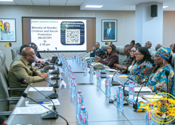 Gender Ministry outlines priorities for 2027-2030 budget