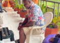 Gov’t strengthens support for older persons under new social protection framework – Gender Minister