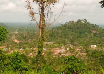 NAiMOS vows decisive action over reported illegal mining in Atewa Forest