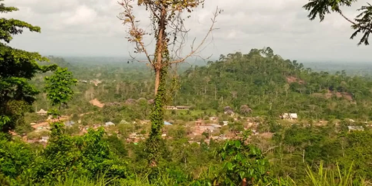 NAiMOS vows decisive action over reported illegal mining in Atewa Forest