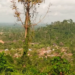 NAiMOS vows decisive action over reported illegal mining in Atewa Forest