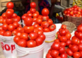 Ghana to launch tomato self-sufficiency initiative in Anloga