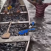 Over 10,000 fish reportedly die at Hebron Prayer Camp Farm amid sewage pollution concerns