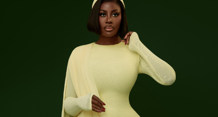 Gender Ministry investigates viral video of violence involving Nana Akua Addo and child