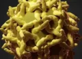 Yellow fever outbreak: Three confirmed dead in Upper West – Health Ministry