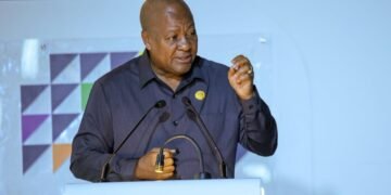 Mahama: Africa must turn health challenges into economic opportunities