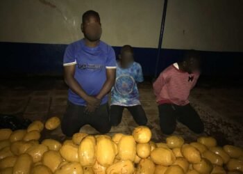 Police arrest 41 over suspected criminal, narcotics-related activities in Lapaz, Chantan