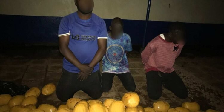 Police arrest 41 over suspected criminal, narcotics-related activities in Lapaz, Chantan