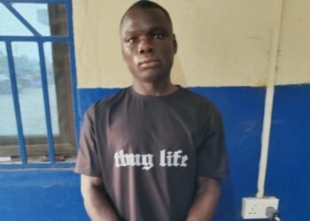 Agona Nkwanta: Court jails farmer for three months after viral video of wife assault