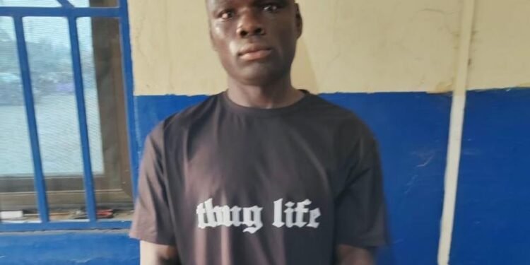 Agona Nkwanta: Court jails farmer for three months after viral video of wife assault