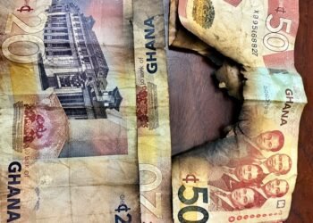 BoG flags practice of taping damaged cedi notes for recirculation